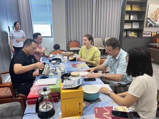 Client Success Stories