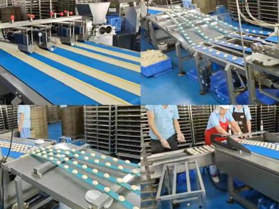 Specialty Bread Forming Lines