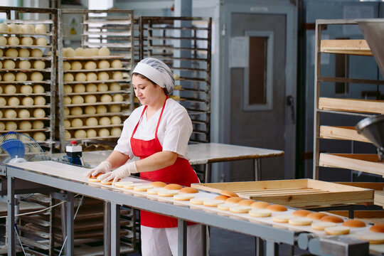 From Artisan to Mass Production: 3 Case Studies Using ADMF Bread Forming Lines for Specialty Breads