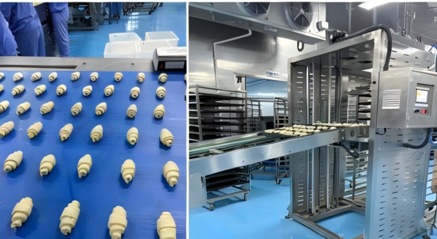 איך להקים מפעל לחם | מדריך קו ייצור לחם 2026